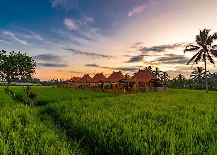 Arindama Ubud By Dhananjaya Hospitality