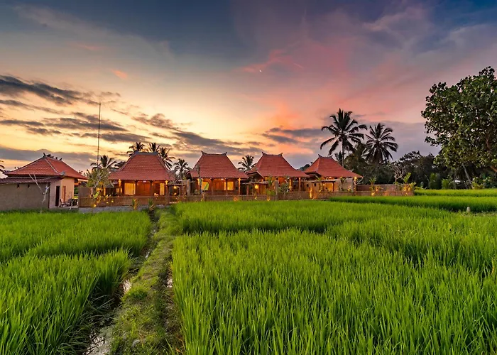 Villa Arindama Ubud By Dhananjaya Hospitality *