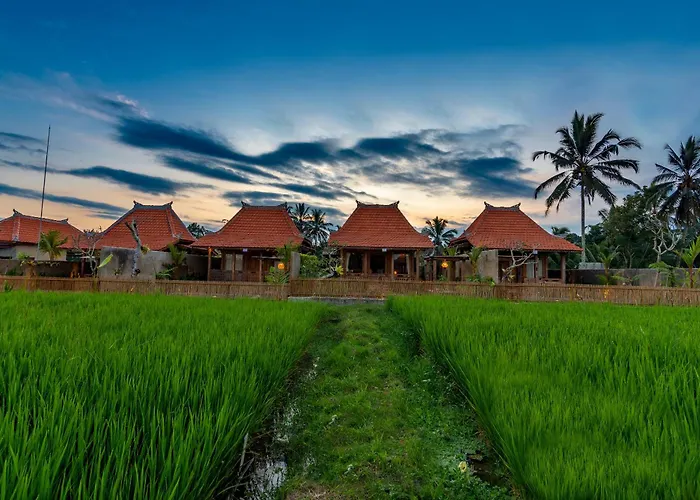 Villa Arindama Ubud By Dhananjaya Hospitality *