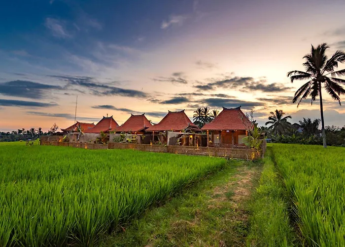 Arindama Ubud By Dhananjaya Hospitality Villa